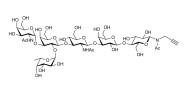 Blood group A antigen hexaose type 1 with terminal alkyne (Linker-CΞCH A)