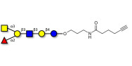Blood group A antigen hexaose type 1 with terminal alkyne (Linker-CΞCH C)