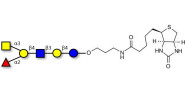 Blood group A antigen hexaose type 2 linked to biotin (Linker-BT B)
