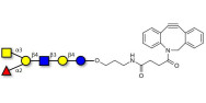Blood group A antigen hexaose type 2 with DBCO (Linker-DBCO A)