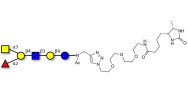Blood group A antigen hexaose type 2 linked to desthiobiotin (Linker-DBT-A)