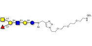 Blood group A antigen hexaose type 2 grafted on gel for affinity chromatography (Linker-GEL A)