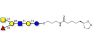 Blood group A antigen hexaose type 2 with cyclic di-thiol (Linker-LIPO A)