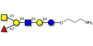 Blood group A antigen hexaose type 2 with free terminal amine (Linker-NH2 A)