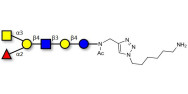 Blood group A antigen hexaose type 2 with free terminal amine (Linker-NH2 D)