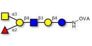 Blood group A antigen hexaose type 2 grafted on OVA