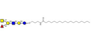 Blood group A antigen hexaose type 2 with stearic chain (Linker-STEA A)