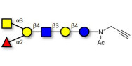 Blood group A antigen hexaose type 2 with terminal alkyne (Linker-CΞCH A)