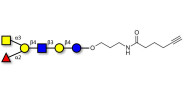 Blood group A antigen hexaose type 2 with terminal alkyne (Linker-CΞCH C)