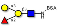 Blood group B antigen tetraose type 1 grafted on BSA