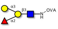 Blood group B antigen tetraose type 1 grafted on OVA