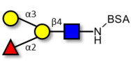 Blood group B antigen tetraose type 2 grafted on BSA