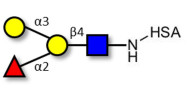 Blood group B antigen tetraose type 2 grafted on HSA