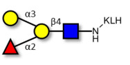 Blood group B antigen tetraose type 2 grafted on KLH