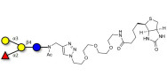 Blood group B antigen tetraose type 5 linked to biotin (Linker-BT A)