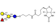Blood group B antigen tetraose type 5 linked to biotin (Linker-BT B)