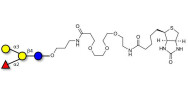 Blood group B antigen tetraose type 5 linked to biotin (Linker-BT C)