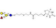 Blood group B antigen tetraose type 5 linked to biotin (Linker-BT D)