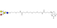 Blood group B antigen tetraose type 5 linked to biotin (Linker-BT E )