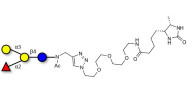 Blood group B antigen tetraose type 5 linked to desthiobiotin (Linker-DBT-A)