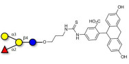 Blood group B antigen tetraose type 5 linked to fluorescein (Linker-FLUO A)