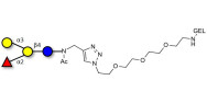 Blood group B antigen tetraose type 5 grafted on gel for affinity chromatography (Linker-GEL A)