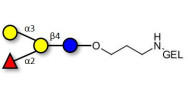 Blood group B antigen tetraose type 5 grafted on gel for affinity chromatography (Linker-GEL B)