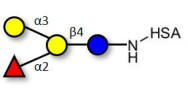 Blood group B antigen tetraose type 5 grafted on HSA