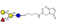 Blood group B antigen tetraose type 5 linked to maleimide (Linker-MAL A)