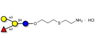 Blood group B antigen tetraose type 5 linked to amine (Linker-NH2-E )