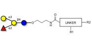 Blood group B antigen tetraose type 5 with customizable dual functionalization 