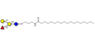 Blood group B antigen tetraose type 5 with stearic chain (Linker-STEA A)