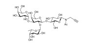 Blood group B antigen tetraose type 5 with terminal alkyne (Linker-CΞCH A)