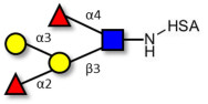 Blood group B Lewis b antigen pentaose type 1 grafted on HSA