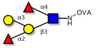 Blood group B Lewis b antigen pentaose type 1 grafted on OVA