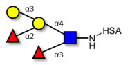 Blood group B Lewis y antigen pentaose type 2 grafted on HSA