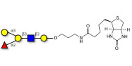 Blood group B antigen pentaose type 1 linked to biotin (Linker-BT B)