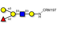 Blood group B antigen pentaose type 1 grafted on CRM197