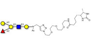 Blood group B antigen pentaose type 1 linked to desthiobiotin (Linker-DBT-A)