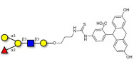 Blood group B antigen pentaose type 1 linked to fluorescein (Linker-FLUO A)