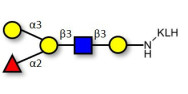 Blood group B antigen pentaose type 1 grafted on KLH