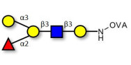 Blood group B antigen pentaose type 1 grafted on OVA