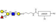 Blood group B antigen pentaose type 1 with customizable dual functionalization 