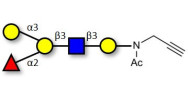 Blood group B antigen pentaose type 1 with terminal alkyne (Linker-CΞCH A)