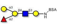 Blood group B antigen pentaose type 2 grafted on BSA