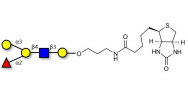 Blood group B antigen pentaose type 2 linked to biotin (Linker-BT B)