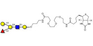 Blood group B antigen pentaose type 2 linked to biotin (Linker-BT C)