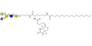 Blood group B antigen pentaose type 2 linked to biotin and stearic chain (Linker-BT-STEA A)