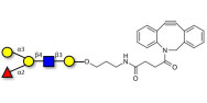 Blood group B antigen pentaose type 2 with DBCO (Linker-DBCO A)
