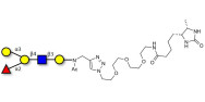Blood group B antigen pentaose type 2 linked to desthiobiotin (Linker-DBT-A)